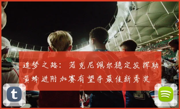 追梦之路：若克尼佩尔稳定发挥助黄蜂进附加赛有望夺最佳新秀奖