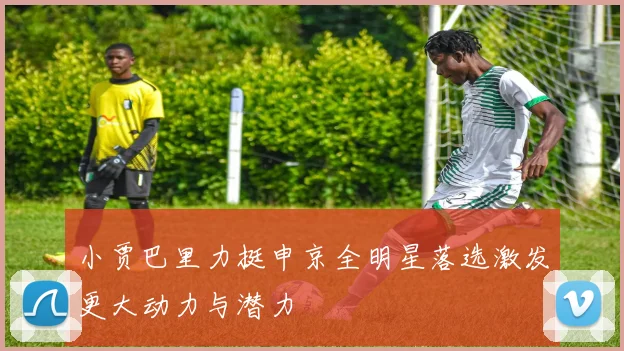 小贾巴里力挺申京全明星落选激发更大动力与潜力