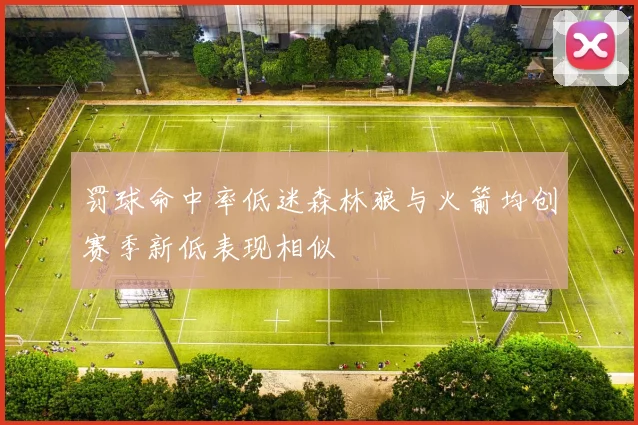 罚球命中率低迷森林狼与火箭均创赛季新低表现相似