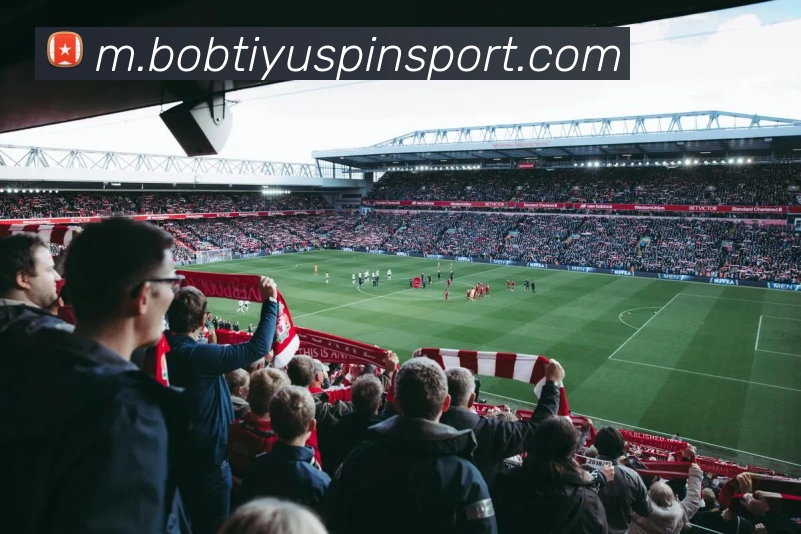 App Interface Preview