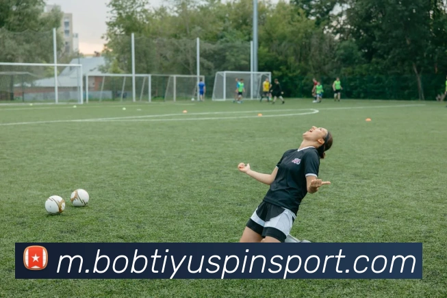 BOB体育APP 封面图